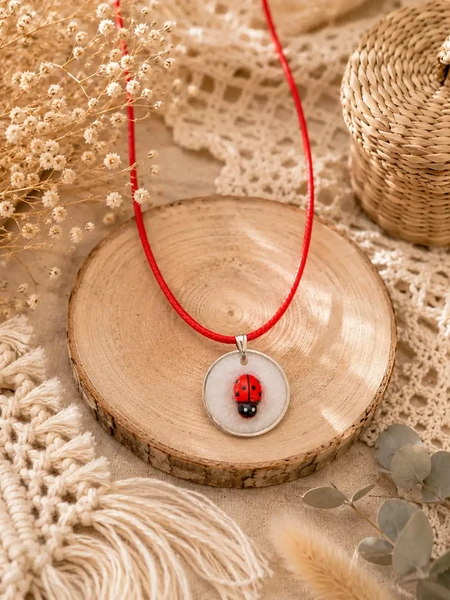 Coccinelle Porte-Bonheur